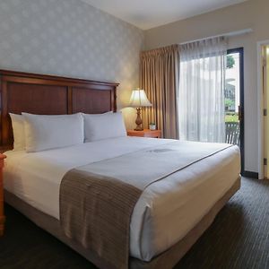 Suite Lit King-Size